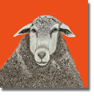 Shaun the Sheep
Orange Shaun the Sheep
Orange