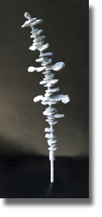 Vertere
Assemblage Vertere
Assemblage